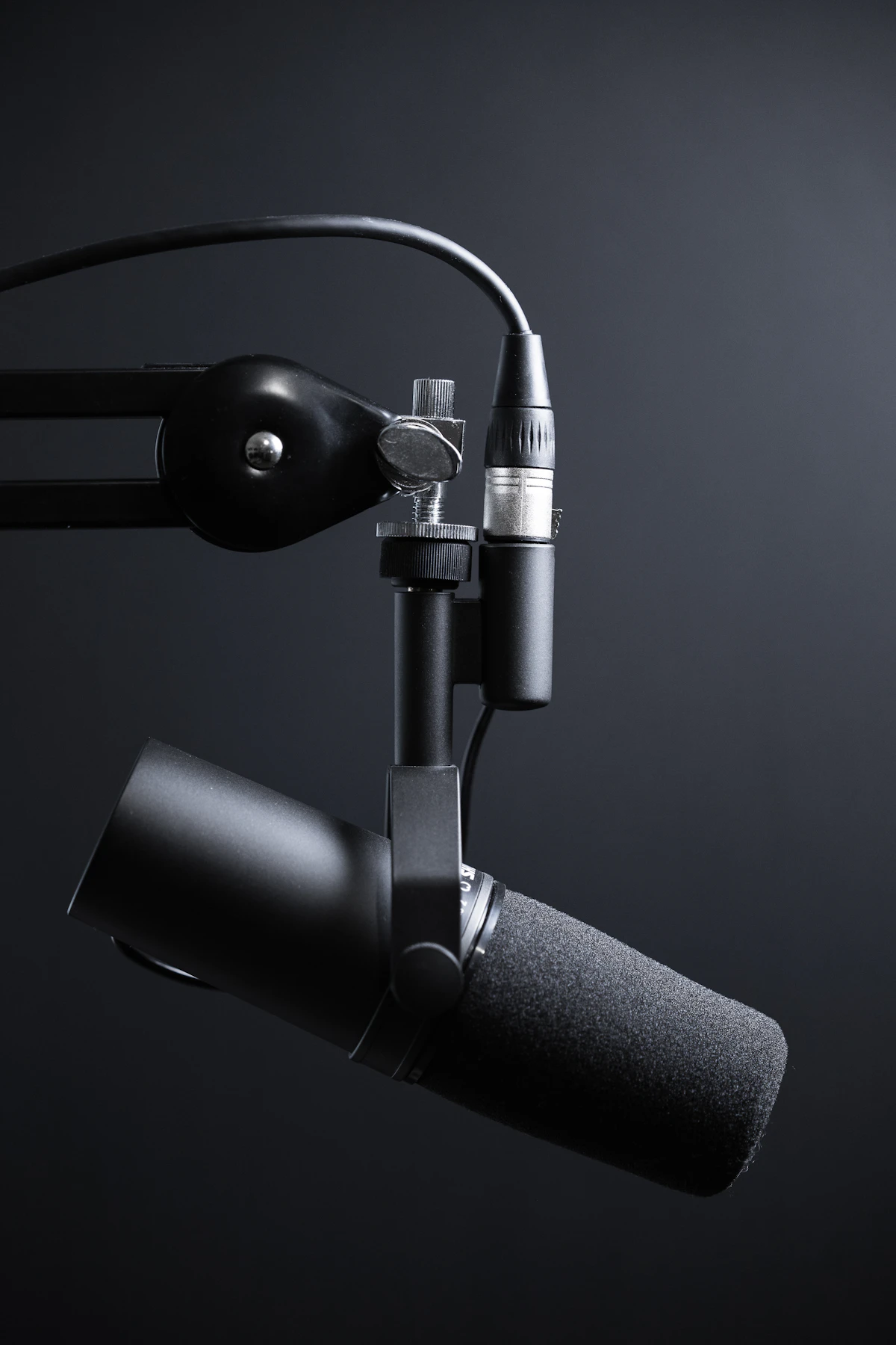 Home studio microphone — the modern center of bedroom recording.